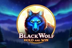 Black Wolf: Hold and Win